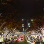 師走のイルミネーション