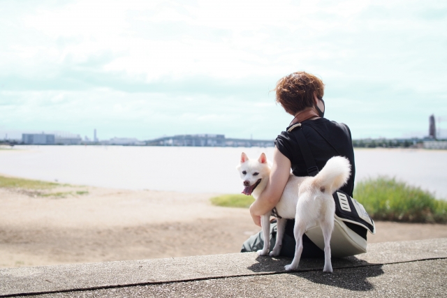 犬と飼い主