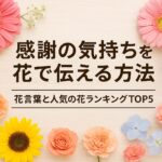感謝の花言葉