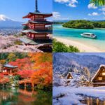 国内旅行ランキング